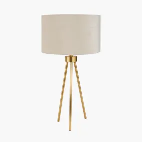 Houston Brushed Brass Table Lamp