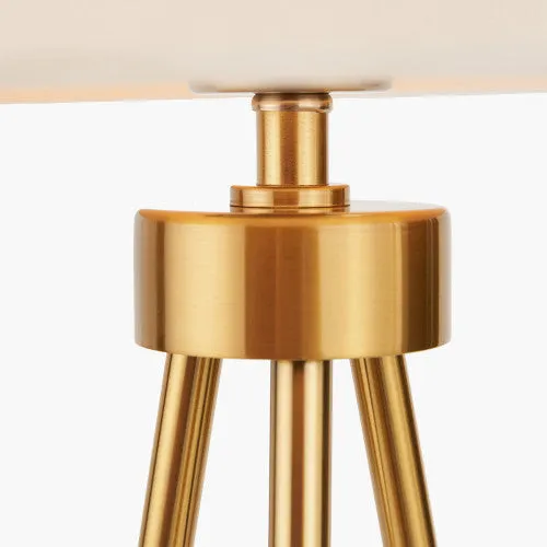 Houston Brushed Brass Table Lamp