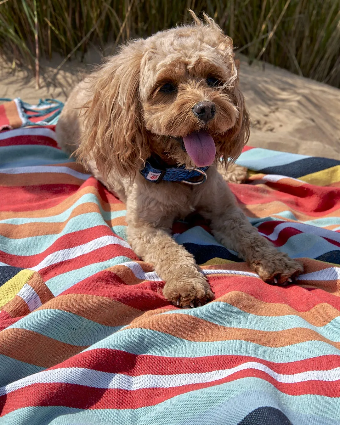 Recycled Picnic Blanket - Multi