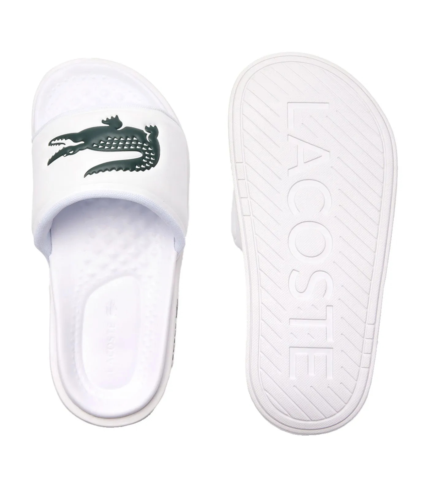 Women's Croco Dualiste Synthetic Logo Strap Slides White/Green